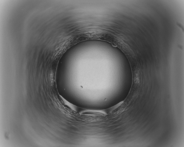 X0000102281108200808011444