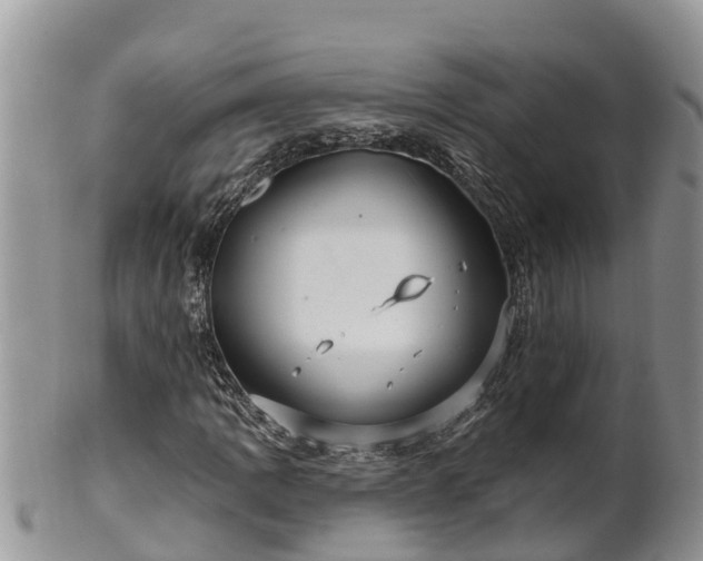 X0000102281109200808011444