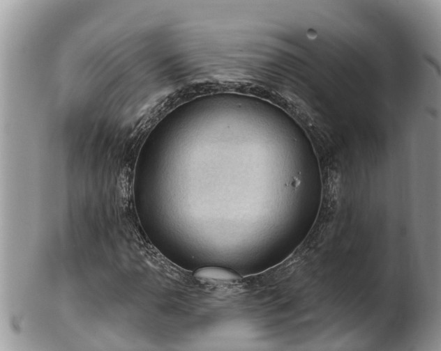 X0000102281110200808011444