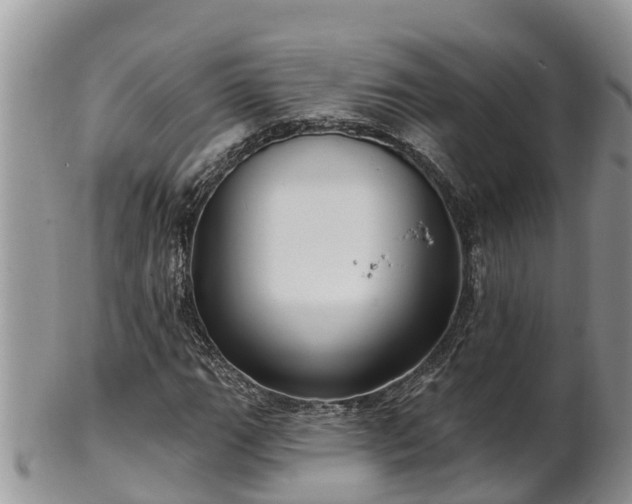 X0000102281111200808011444