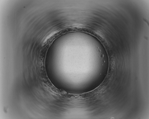 X0000102281112200808011444