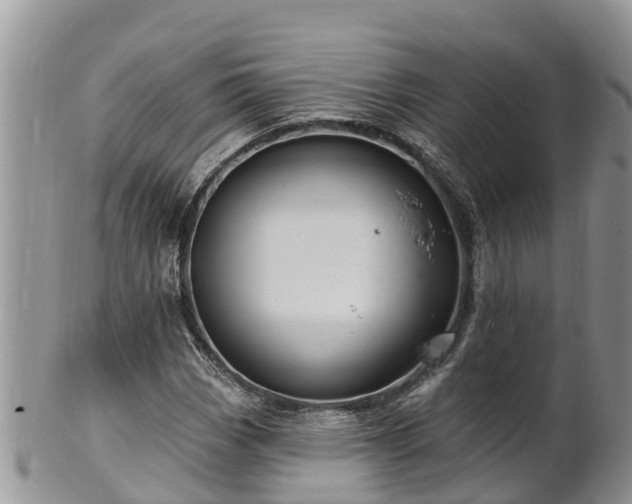 X0000102281113200808011444