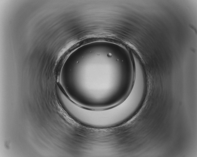 X0000102281114200808011444