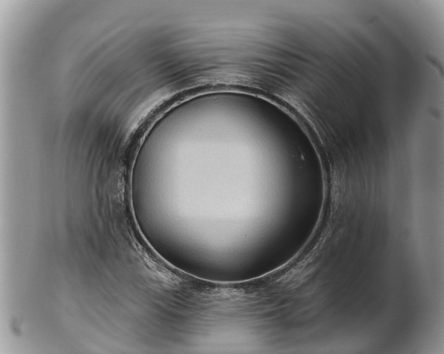 X0000102281115200808011444