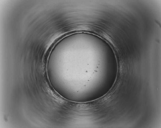 X0000102281116200808011444