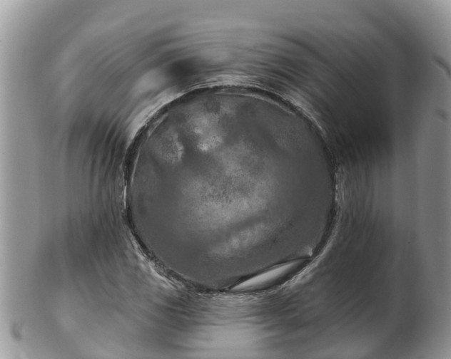 X0000102281117200808011444