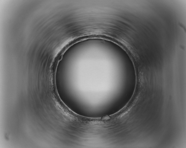 X0000102281118200808011444