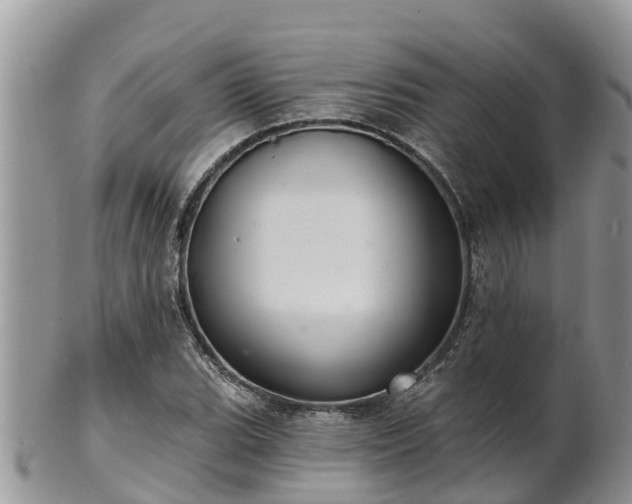 X0000102281119200808011444