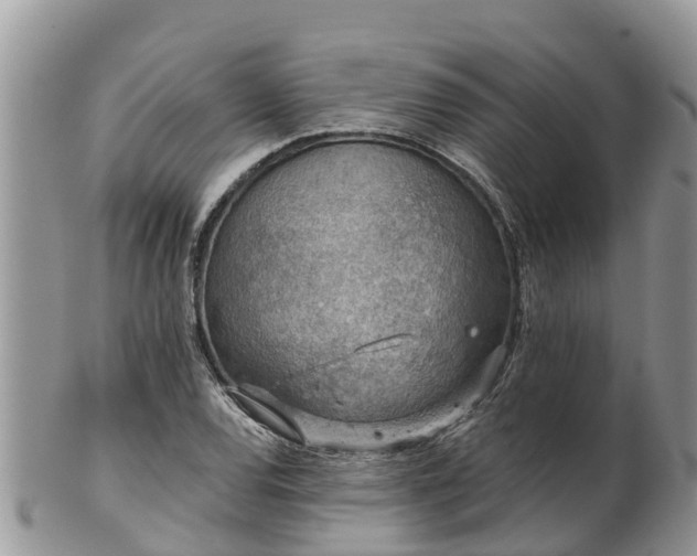 X0000102281120200808011444