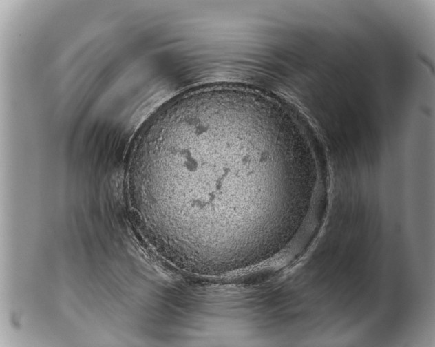 X0000102281121200808011444