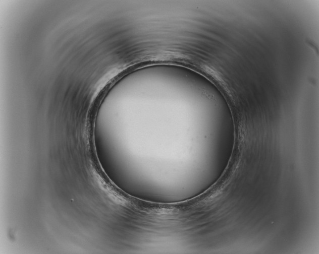 X0000102281122200808011444