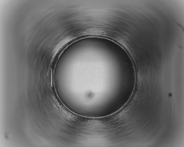 X0000102281123200808011444