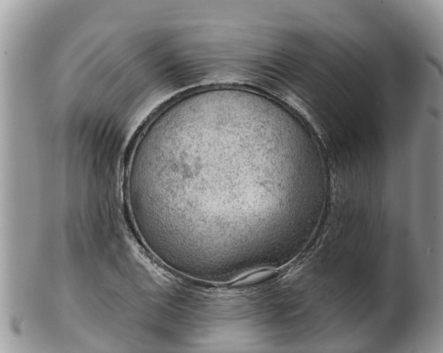 X0000102281124200808011444