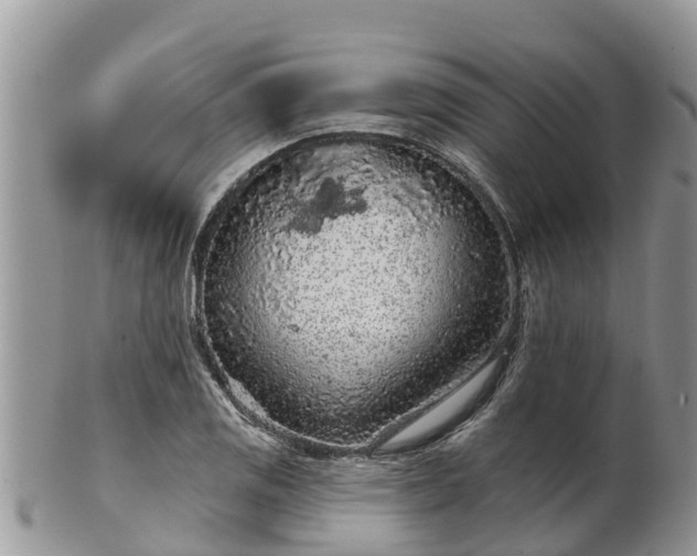 X0000102281125200808011444