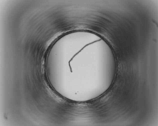 X0000102281126200808011444