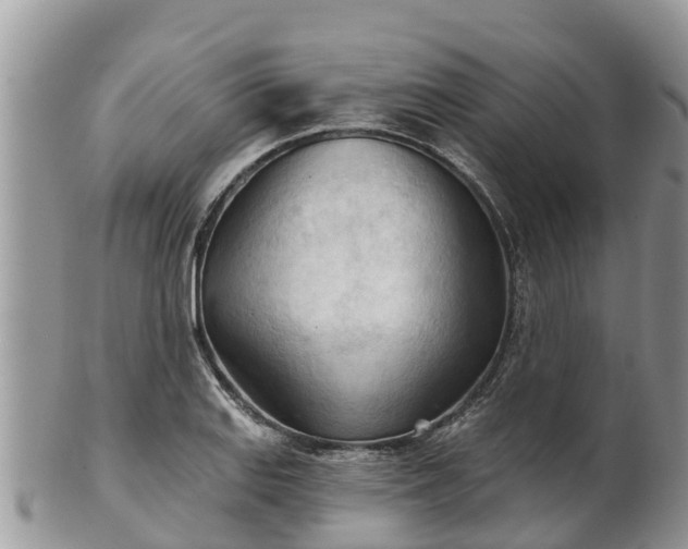 X0000102281127200808011444