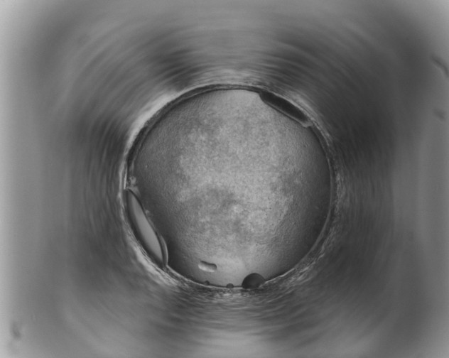 X0000102281128200808011444