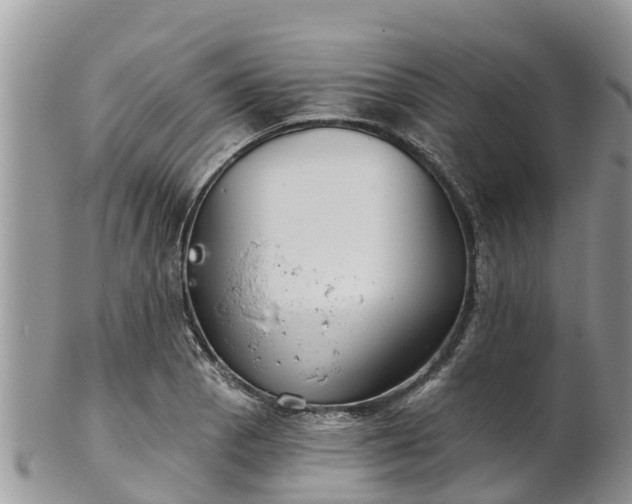 X0000102281129200808011444