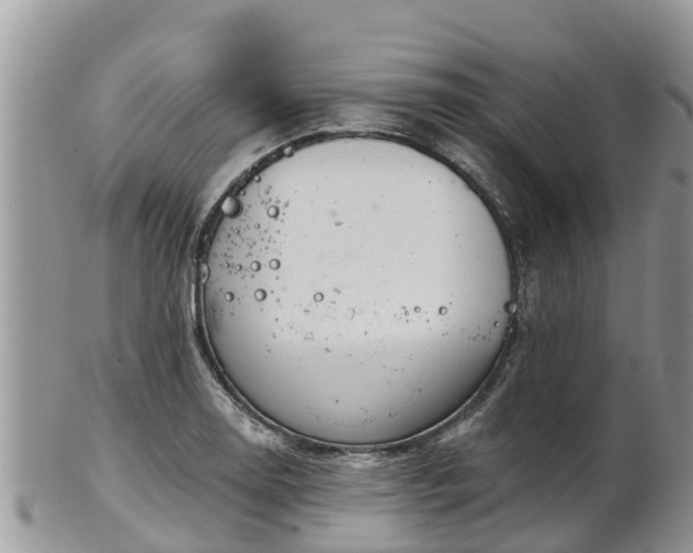 X0000102281130200808011444