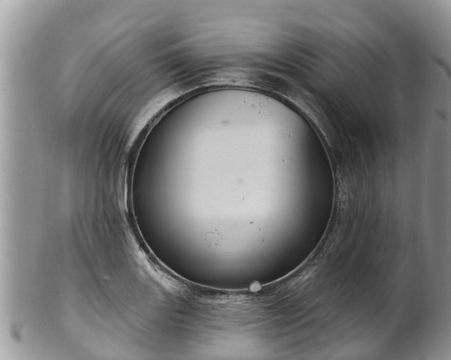 X0000102281131200808011444