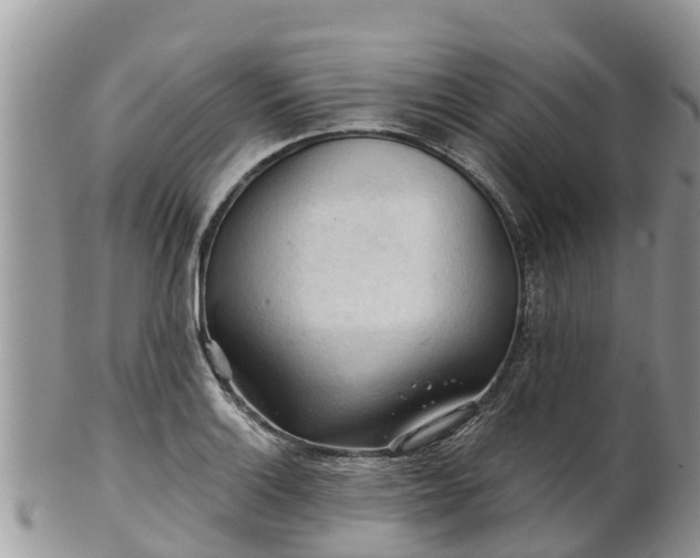 X0000102281132200808011444