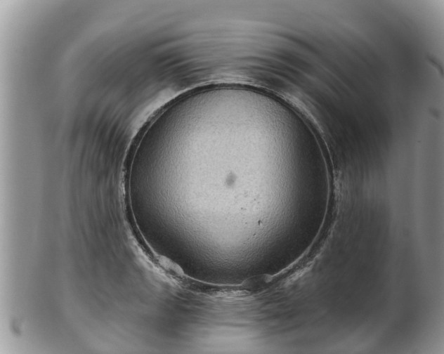 X0000102281133200808011444