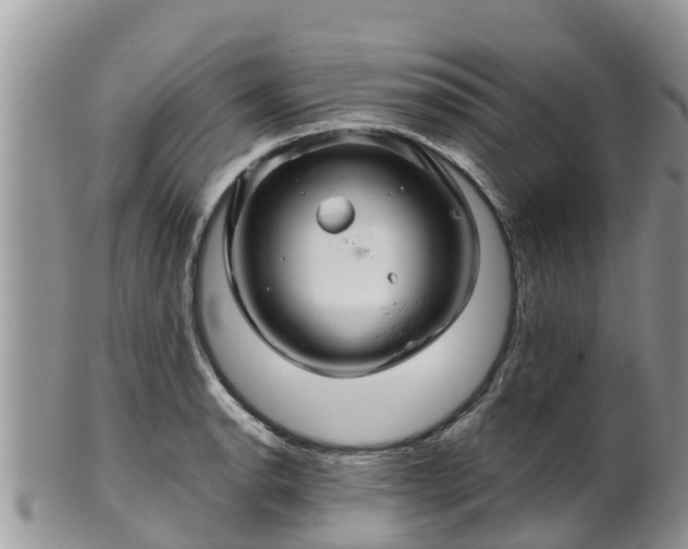 X0000102281134200808011444