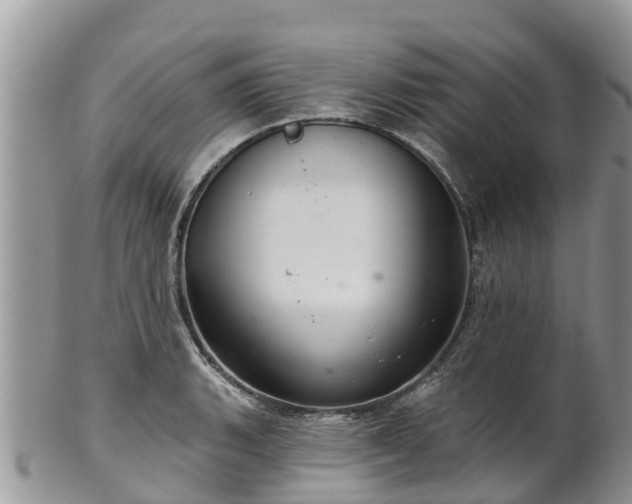 X0000102281135200808011444