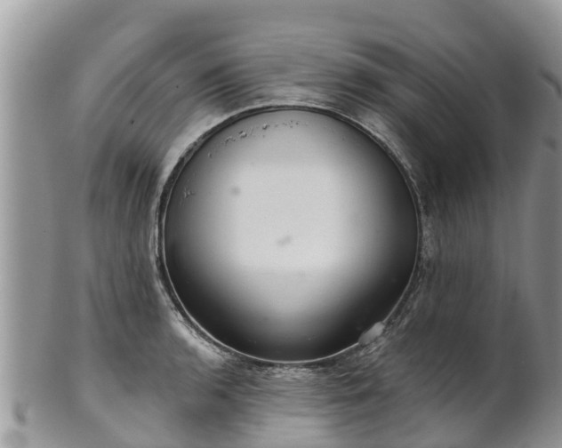 X0000102281136200808011444