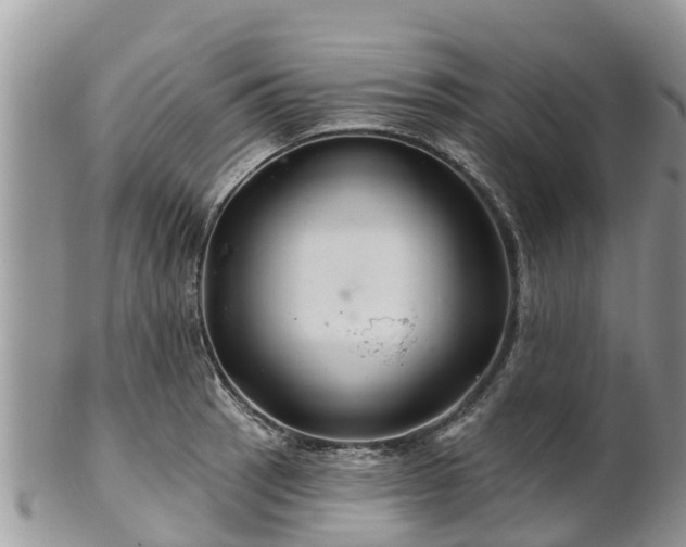 X0000102281137200808011444