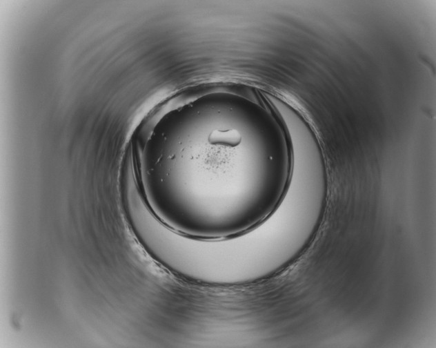 X0000102281138200808011444