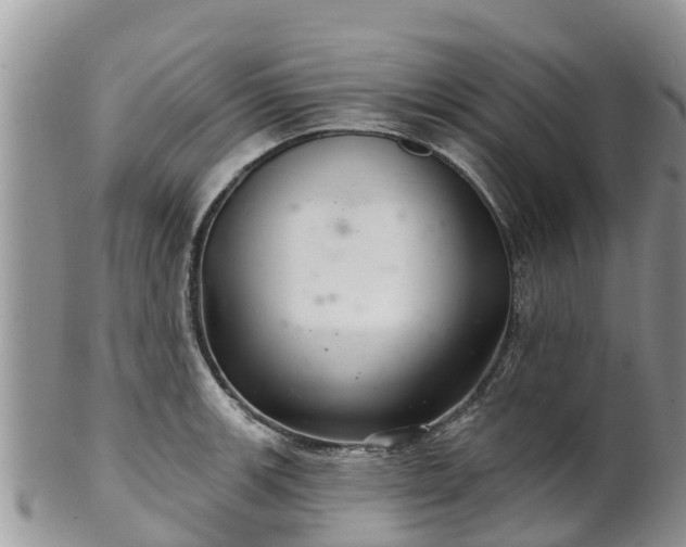 X0000102281139200808011444