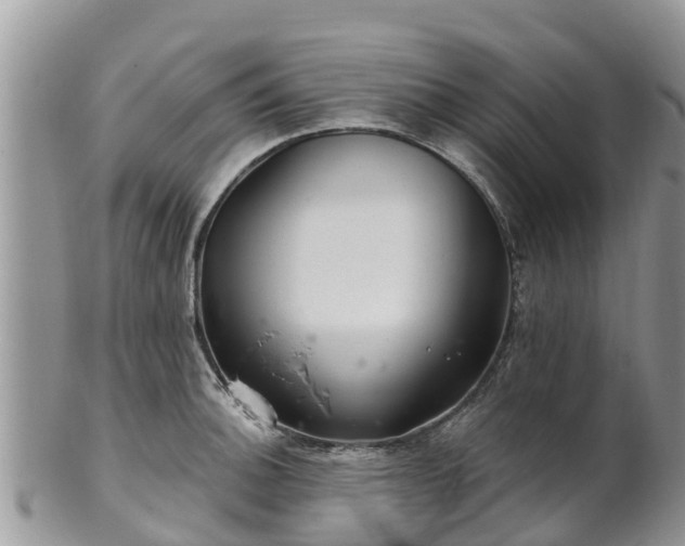 X0000102281140200808011444