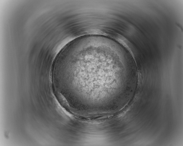 X0000102281141200808011444