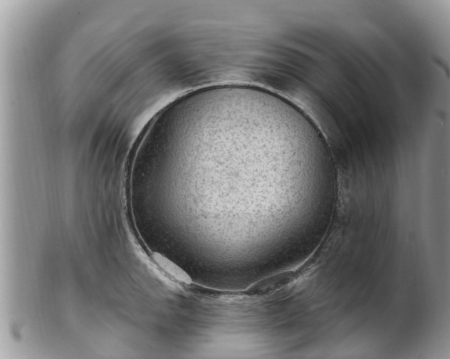 X0000102281142200808011444