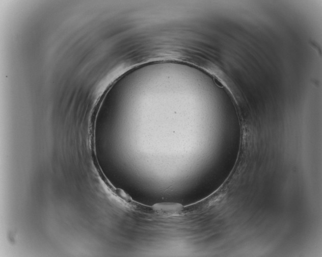 X0000102281143200808011444