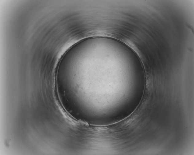 X0000102281144200808011444