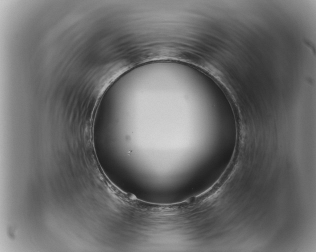 X0000102281145200808011444