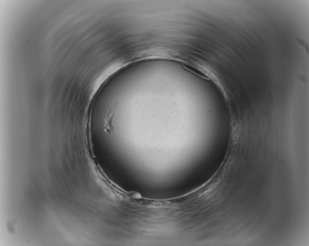 X0000102281146200808011444