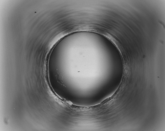 X0000102281147200808011444