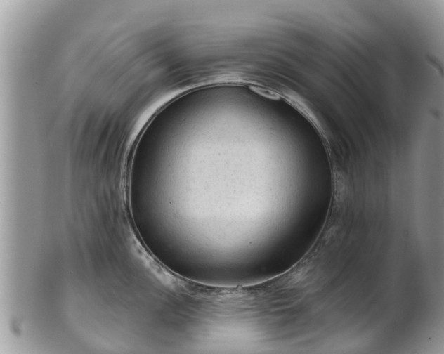 X0000102281148200808011444