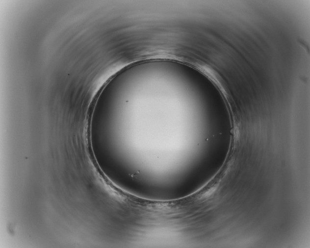 X0000102281149200808011444