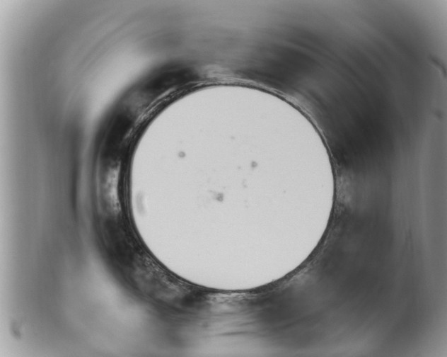 X0000102281150200808011444