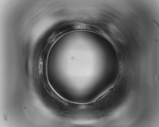 X0000102281151200808011444