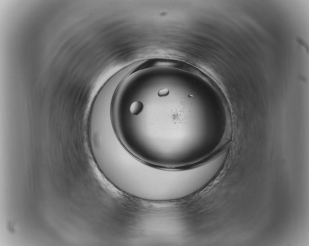 X0000102281152200808011444