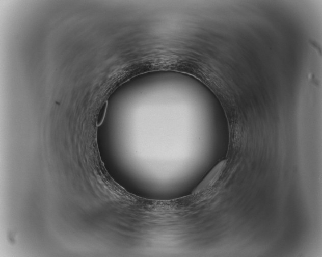 X0000102281153200808011444