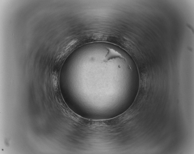 X0000102281154200808011444