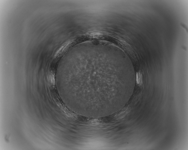 X0000102281155200808011443