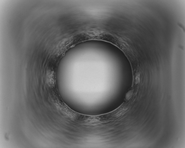 X0000102281156200808011443