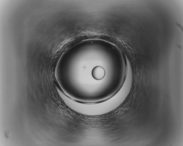 X0000102281157200808011443